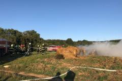 IMG-20190903-WA0010