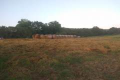 IMG_20190903_192741